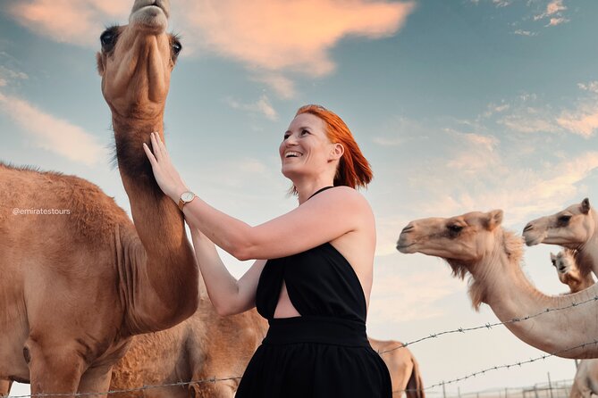 Abu Dhabi Evening Desert Safari BBQ, Camel Ride, Entertainments - Cultural Entertainments