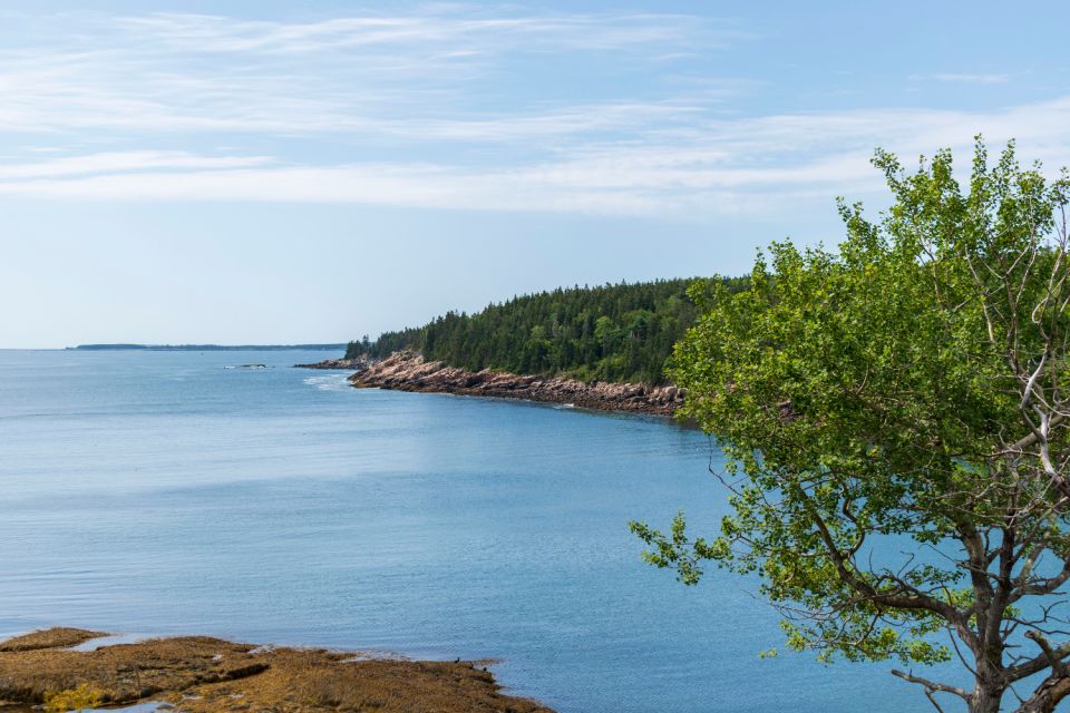 Acadia: Bar Harbor & Ocean Path Self-Guided Audio Tours - What to Bring and Preparation