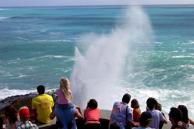 All Inclusive Ultimate Circle Island Day Tour and Waimea Falls - Panoramic Bus Tour Experiences