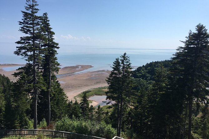 Bay of Fundy Tour by Bus - Physical Requirements