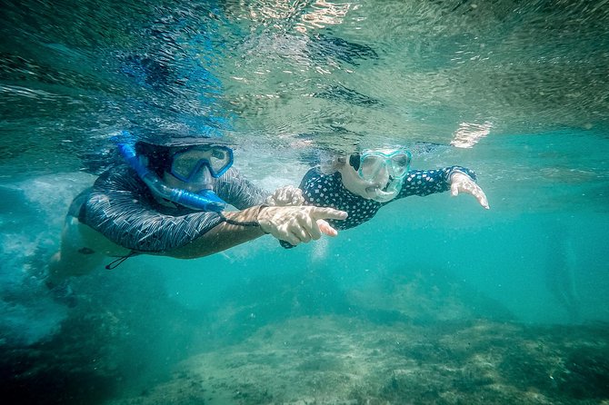 Cape Vidal Snorkeling Adventure - Meeting Point and Pickup