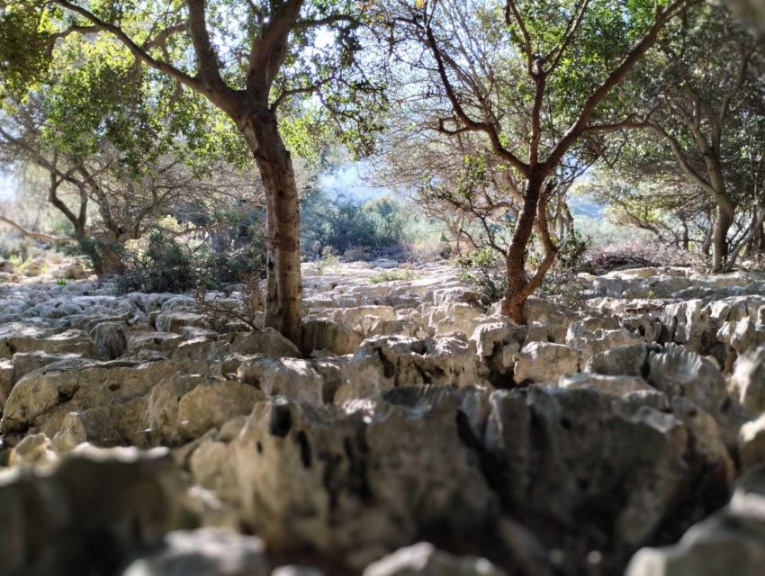 Chania: Traditional Villages, Local Producers and Artisans - Accessibility and Recommendations