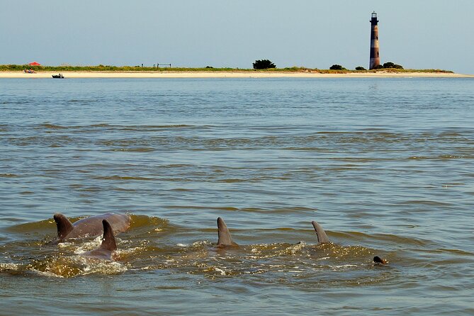 Charleston Eco Boat Cruise With Stop at Morris Island Lighthouse - Discovering the Morris Island Lighthouse