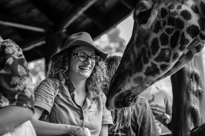 Day Tour to Giraffe Center and Karen Blixen Nairobi - Customer Reviews