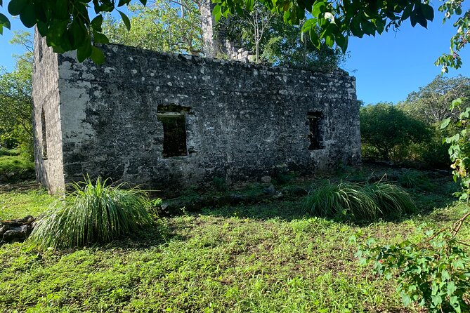 Discovery Tour and Treasure Hunt ( North and Middle Caicos) - Highlights of the Tour