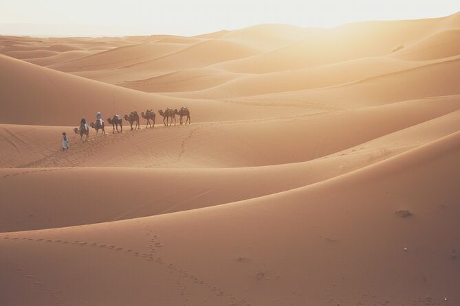 Doha Desert Adventure, Sandboarding, Dune Bashing,Inland Sea Tour - Transportation and Amenities