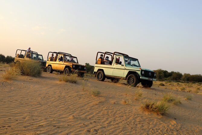 Dubai: Morning Heritage Safari by Vintage G Class & Al Marmoom Oasis - Arabian Makeover Session