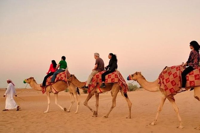 DXB Red Dune Desert Safari, Sand Boarding, Camel Ride, Live Shows, BBQ Dinner - International Buffet and Barbecue Dinner