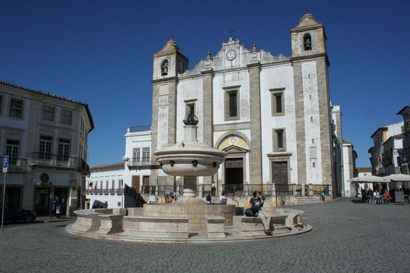 Évora and Megaliths Full-Day Tour From Lisbon - Cork Oak Forests