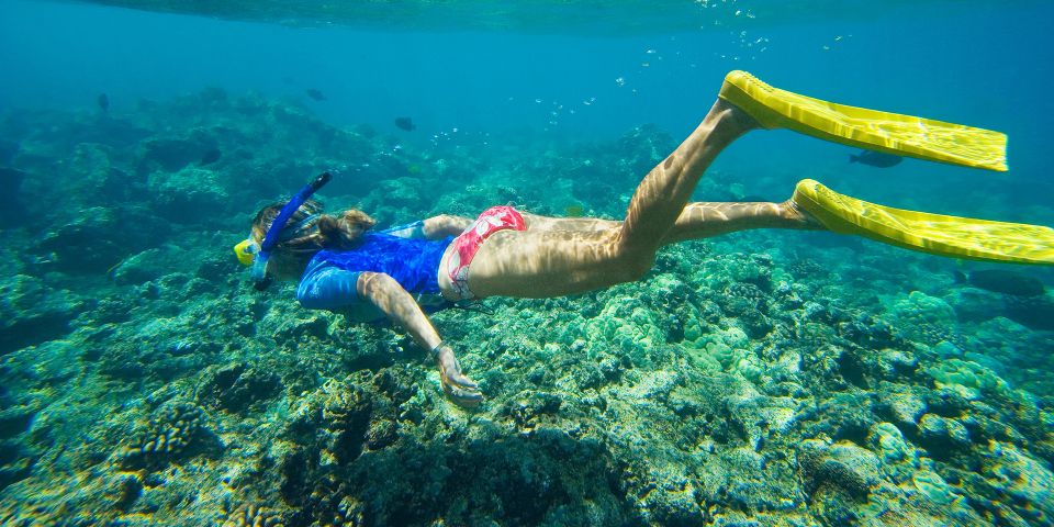 Florida Keys: Full-Day Kayak and Snorkel Reef Adventure - Reef Locations