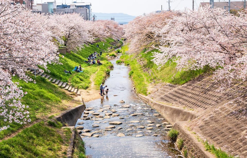 From Osaka: Nara, Uji Matcha Experience and Hot Spring Tour - Important Information