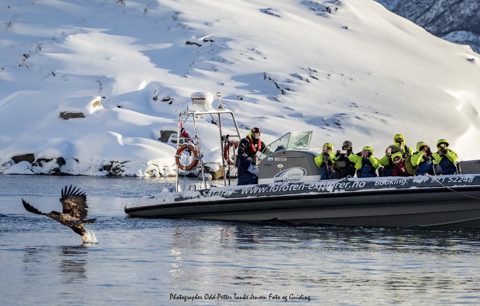 From Svolvaer: Trollfjorden Wildlife RIB Cruise - Suitability and Restrictions