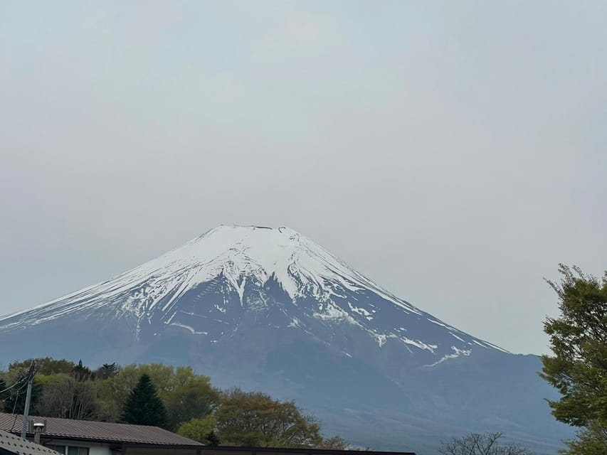 From Tokyo: Private Mt. Fuji Tour With Guide - Included Services