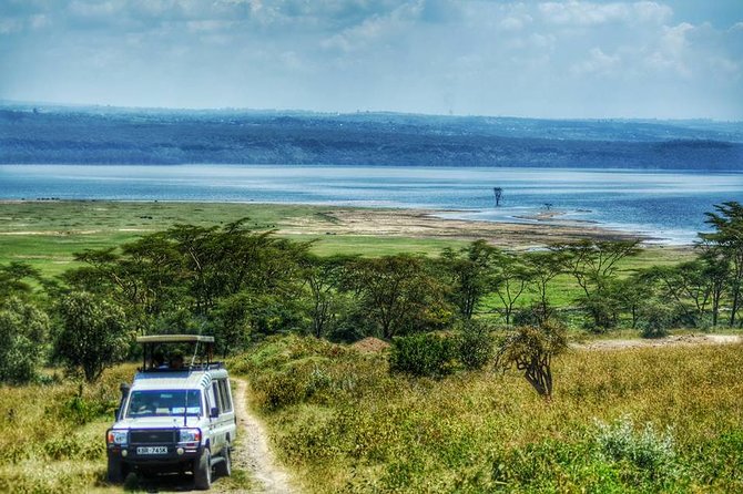 Full Day Lake Nakuru Park and Optional Boat Ride on Lake Naivasha - Exploring Lake Naivasha