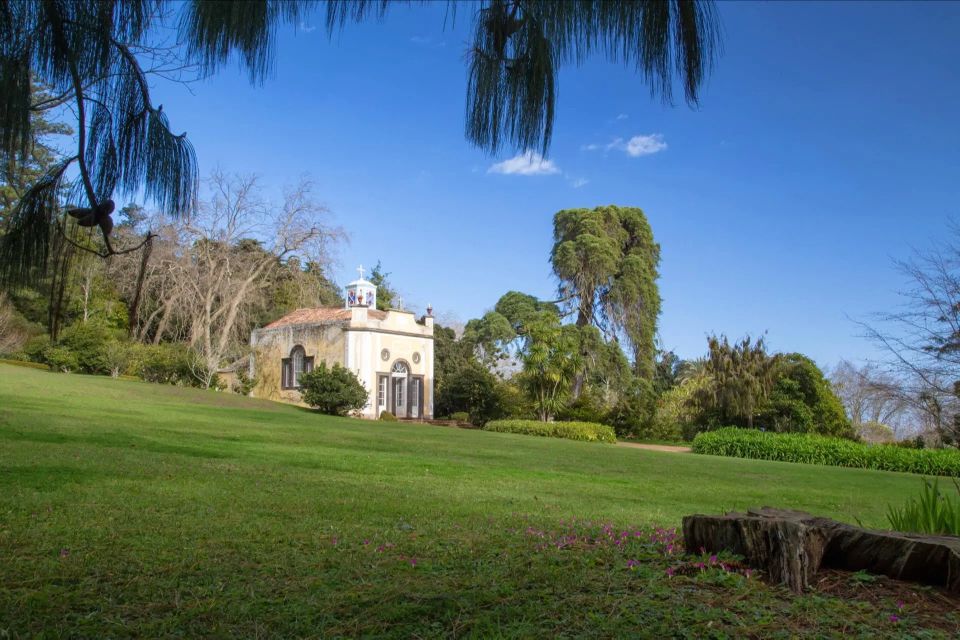 Funchal: Palheiro Gardens and Old Town Private Tuk Tuk Tour - Scenic Drive and Views