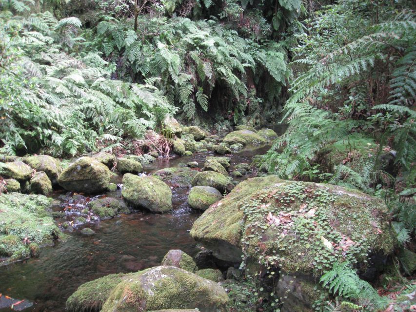 Hidden Corners, the Kings Levada Full Day Hike - Location & Duration