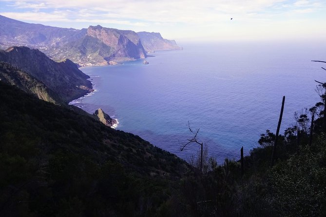 Hike Larano, Boca Do Risco Porto Da Cruz Levada in a Small Group - Reviews