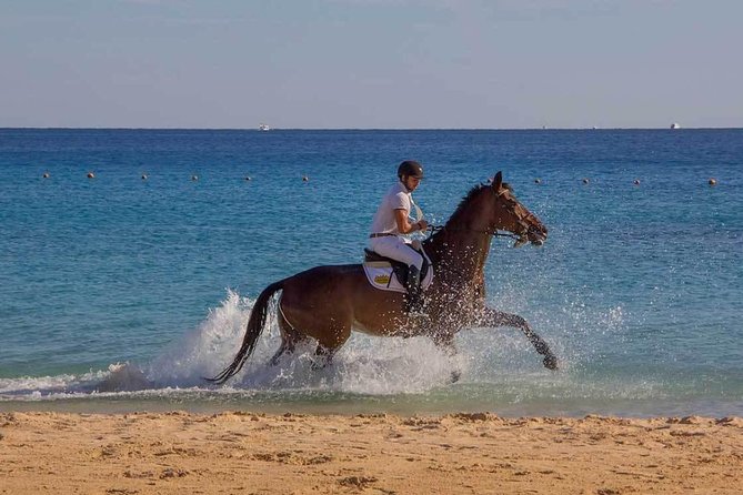 Horse Riding Tour 2 Hours Sea and Desert With Transfer - Hurghada - Accessibility and Restrictions