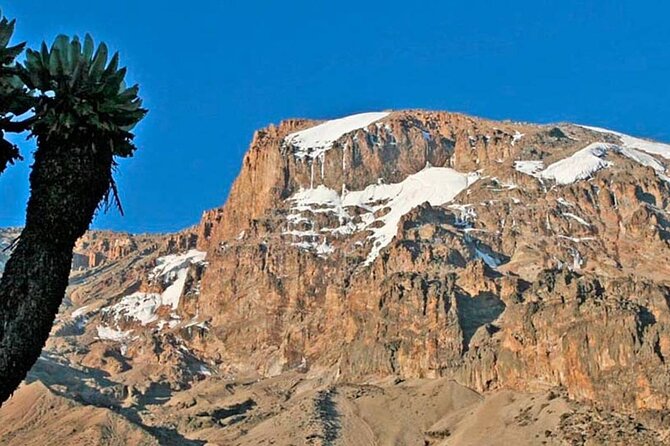 Kilimanjaro Climbing Via Machame Route 8 Days - Cancellation Policy