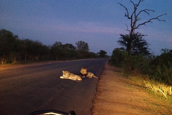 Kruger Park Safari: Guided Day Tour From Nelspruit - Gratuities and Fees