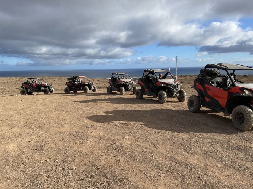 Lanzarote: Guided Can-Am Trail Buggy Tour - Customer Reviews