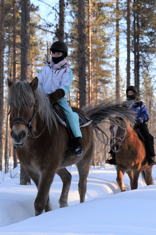 Levi: Snowy Forest Ride and Polar Lights Tours - Experience Levels