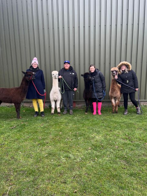 Loch Ness: Full Day Private Tour With Alpaca Adventure - Break Time in Fort Augustus