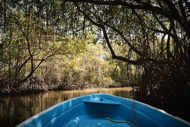 Los Haitises National Park Tour From Las Terrenas or Samana (Half Day Trip) - Ecosystem Exploration