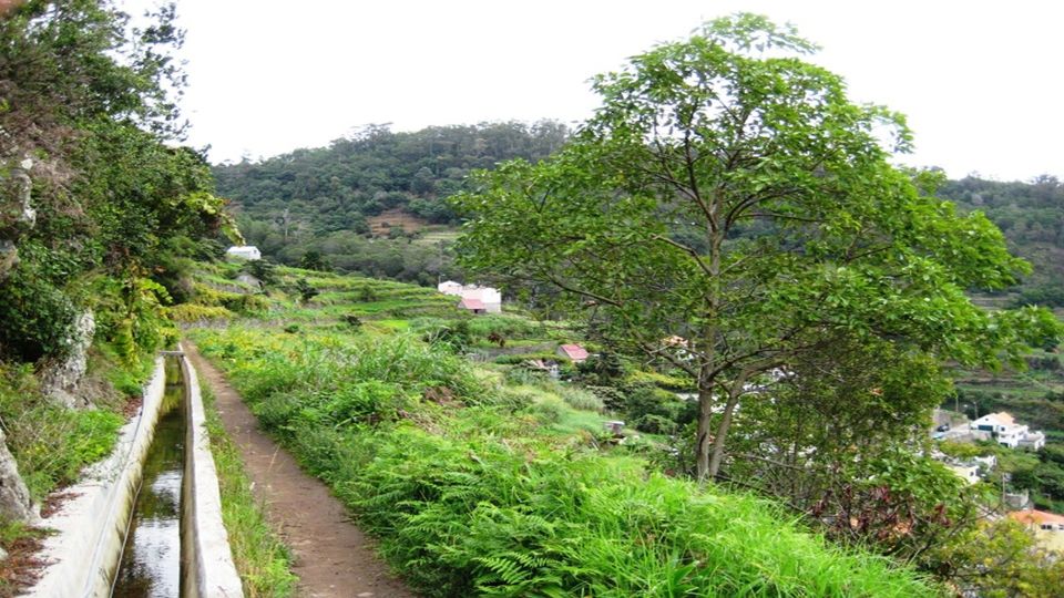 Madeira: Private Hike From Levada Do Caniçal to Machico - Physical Fitness Requirements