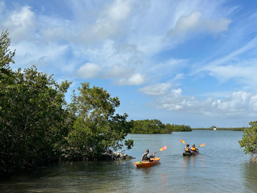 Marco Island: Mangrove Maze Kayak Tour (2hrs) - Customer Reviews