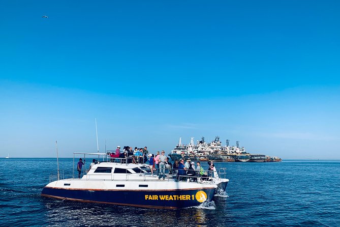 Marine Dolphin Seal Cruise - Meeting Point and Departure Time