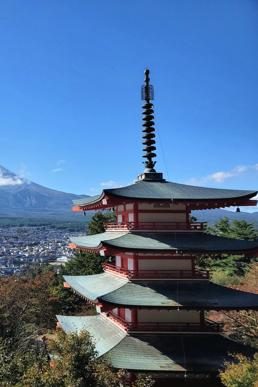 Mt. Fuji and Hakone: Full Day Private Tour W English Guide - Tour Inclusions and Fees