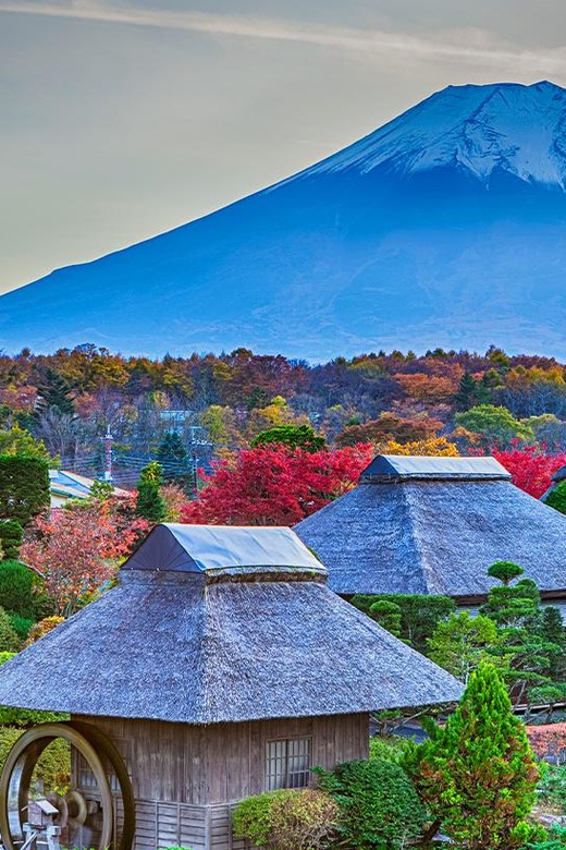 Mt.Fuji:Hakone Cruise, Ropeway&Oshino Hakkai Full-day Tour - Important Information