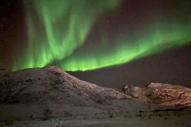 Northern Lights Tour With Hot Food and Drinks in Tromso - Reviews