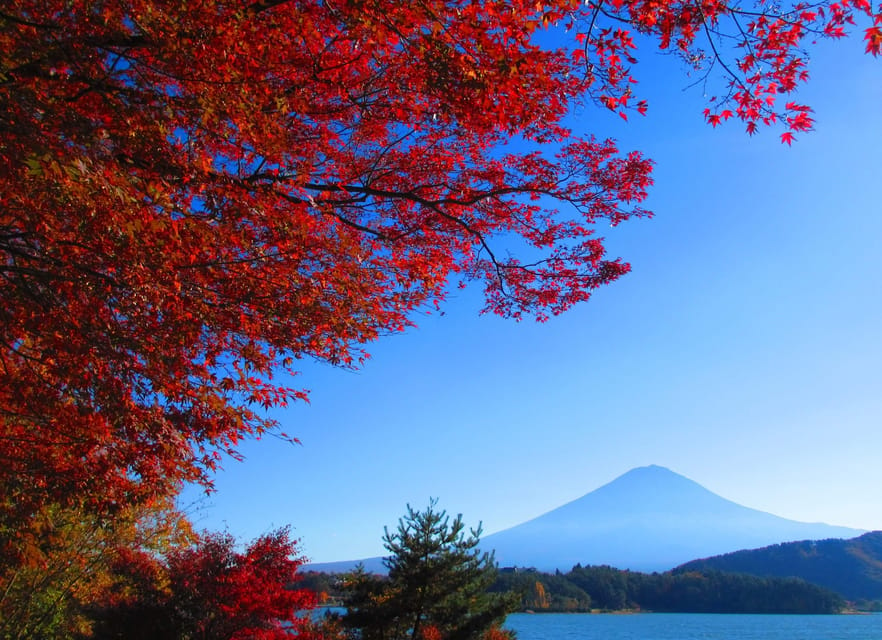 One Day Tour in Mount Fuji Review - Inclusions