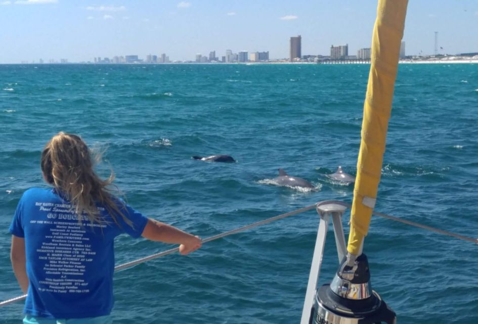 Panama City Beach: Dolphin Watching Trip by Catamaran - Customer Reviews and Feedback