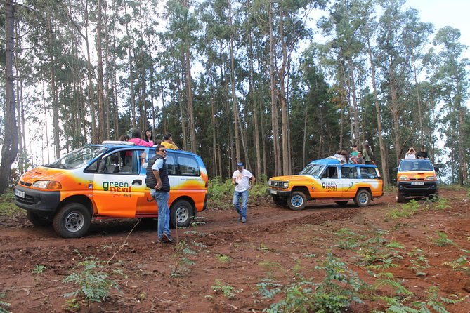 Porto Moniz 4x4 West Tour - Reviews and Feedback