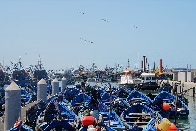 Private : Essaouira Day Trip From Marrakech - Enjoying Seafood Restaurants