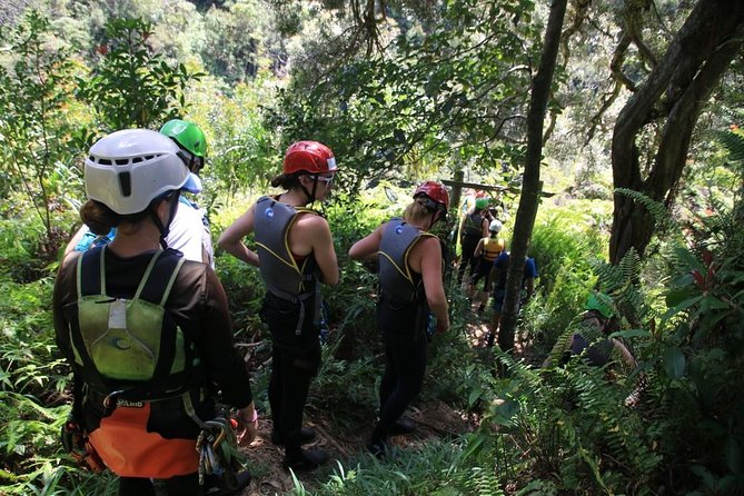 Rappel Maui Waterfalls and Rainforest Cliffs - Comprehensive Safety Measures