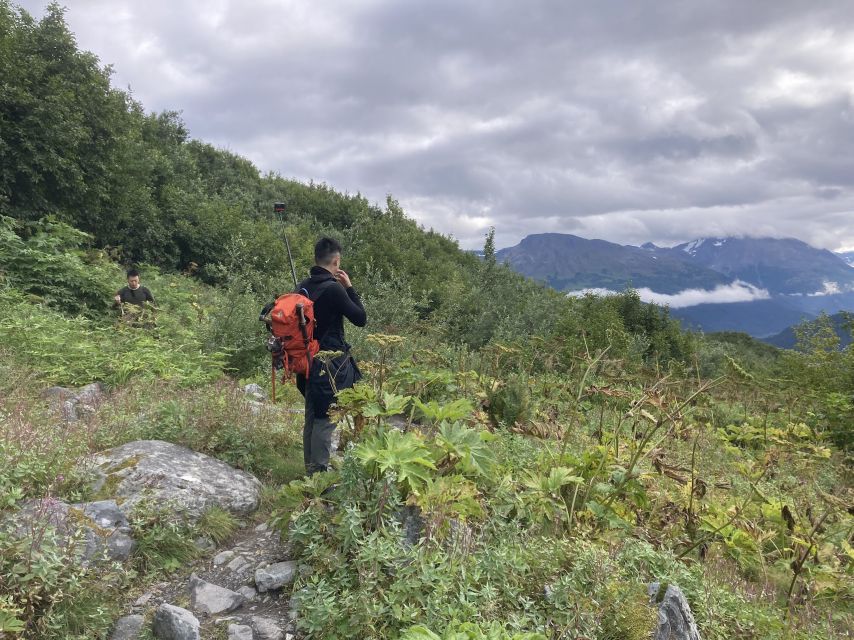 Seward: Guided Wilderness Hike With Transfer - Preparation and Requirements