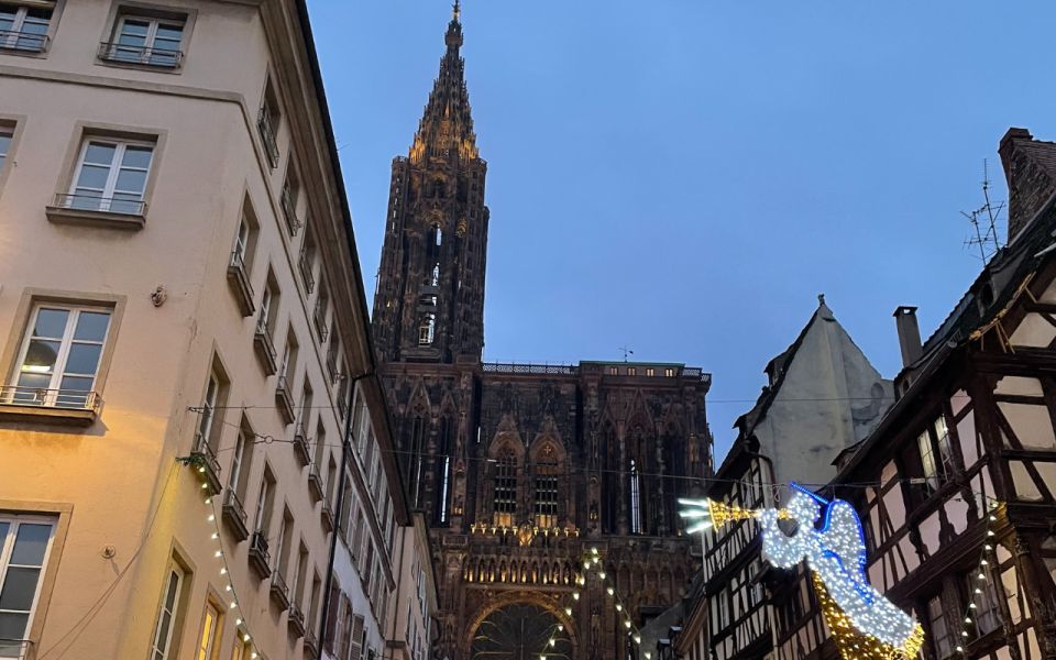 Strasbourg: Christmas Markets Walking Tour With Mulled Wine - Bilingual Guide and Language Options