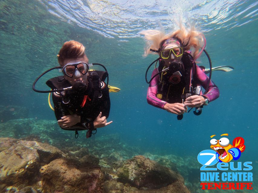 Tenerife: Abades Beach Beginner Diving Experience - Health and Safety Guidelines