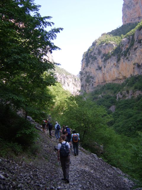 Vikos Gorge Full-Day Guided Hike - Terrain and Landscapes