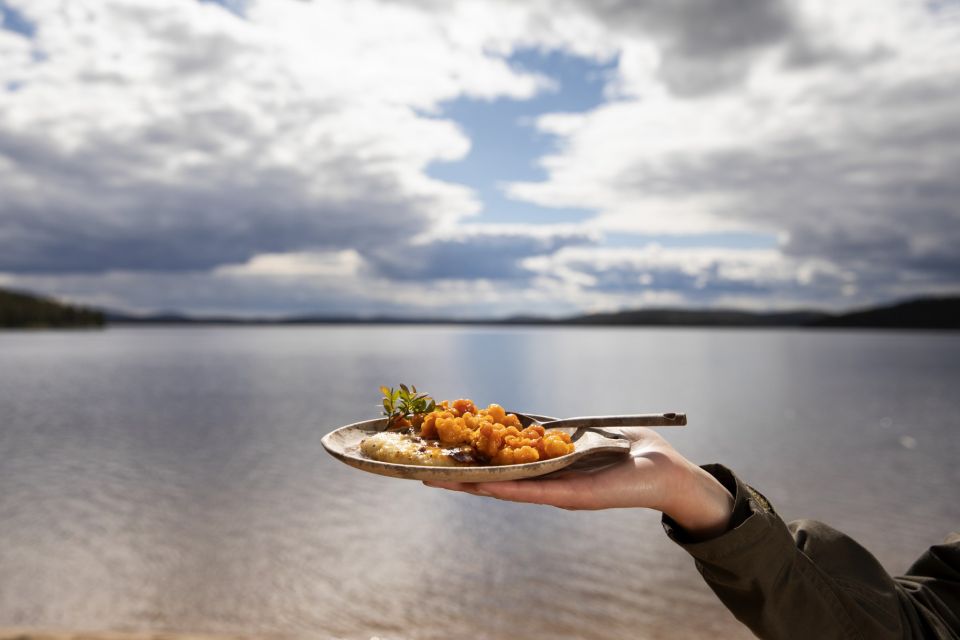 Wild Food & Foraging Hike With Open Fire Lunch in Ivalo - Reconnecting With Nature