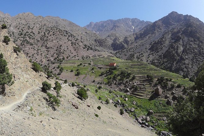 3-Day Mount Toubkal Climb From Marrakech - Dietary Accommodations