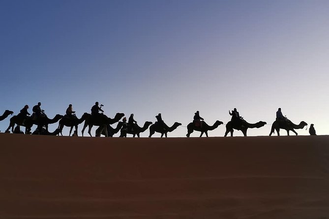 7 Days Discovery The Atlas Mountains & Luxury Sahara Desert From Casablanca - Confirmation and Accessibility