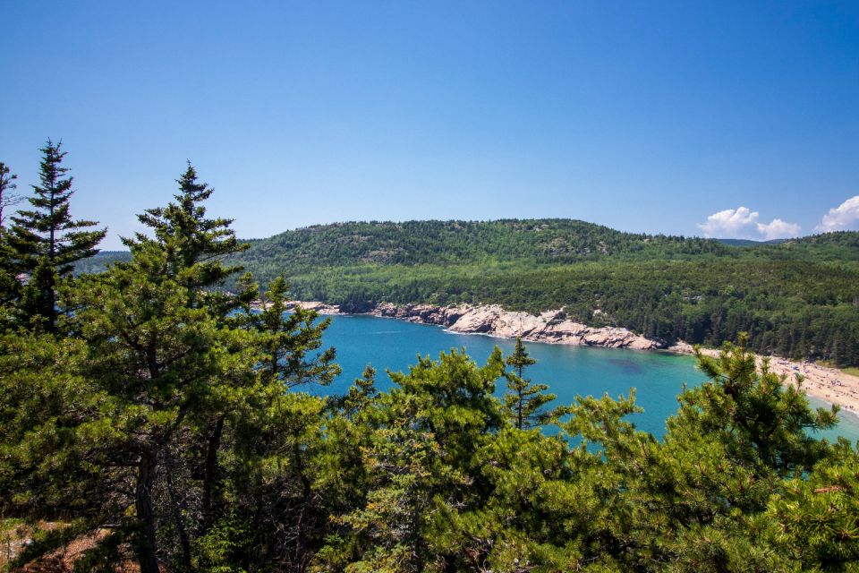 Acadia: Bar Harbor & Ocean Path Self-Guided Audio Tours - Support and Customer Experience