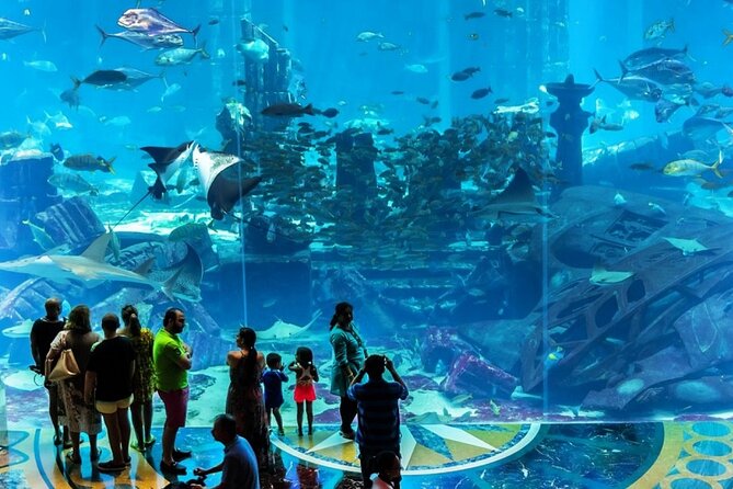 Atlantis Lost-Chamber Aquarium Dubai - Customer Feedback and Ratings