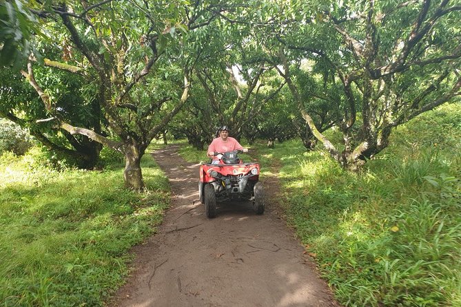 ATV Tour of St Kitts - Inclusions and Considerations