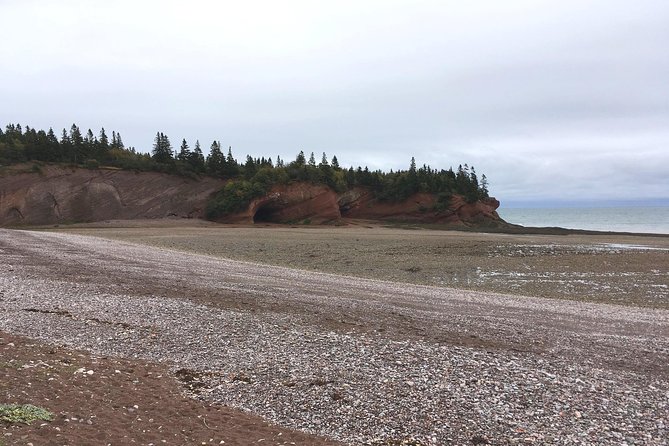 Bay of Fundy Tour by Bus - Tour Capacity